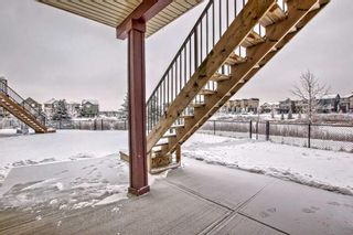 Photo 46: 81 Saddlelake Garden NE in Calgary: Saddle Ridge Detached for sale : MLS®# A2104148
