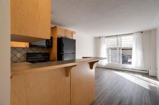 Photo 10: 205 1129 Cameron Avenue SW in Calgary: Lower Mount Royal Apartment for sale : MLS®# A1195022