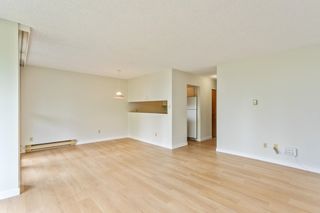 Photo 6: 503 4353 HALIFAX Street in Burnaby: Brentwood Park Condo for sale in "Brent Gardens" (Burnaby North)  : MLS®# R2881229