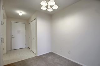 Photo 18: 3225 6818 Pinecliff Grove NE in Calgary: Pineridge Apartment for sale : MLS®# A1053438