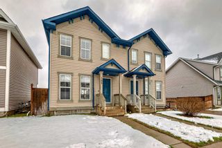 Photo 39: 132 Elgin Meadows View SE in Calgary: McKenzie Towne Semi Detached (Half Duplex) for sale : MLS®# A2127795