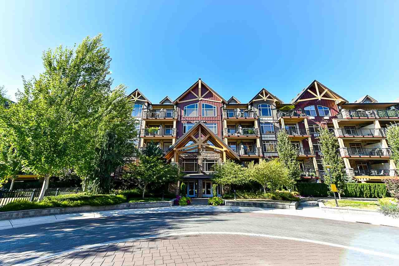Main Photo: 166 8328 207A Street in Langley: Willoughby Heights Condo for sale in "Yorkson Creek" : MLS®# R2363559