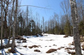 Photo 19: Lot Butler Road in Murphy Lake: Kings County Vacant Land for sale (Annapolis Valley)  : MLS®# 202304459