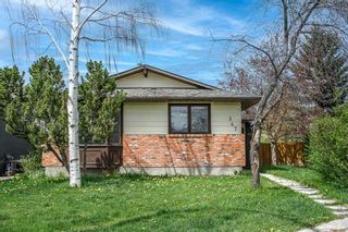 Main Photo: 347 Templevale Place NE in Calgary: Temple Detached for sale : MLS®# A2132443