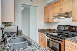 Photo 9: 407 315 9A Street NW in Calgary: Sunnyside Apartment for sale : MLS®# A1122894