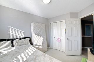 Photo 33: 25 Martha's Meadow Place NE in Calgary: Martindale Detached for sale : MLS®# A1259180