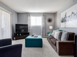 Photo 20: 3426 10 PRESTWICK Bay SE in Calgary: McKenzie Towne Apartment for sale : MLS®# A1023715