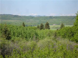 Photo 6:  in CALGARY: Rural Foothills M.D. Rural Land for sale : MLS®# C3457696