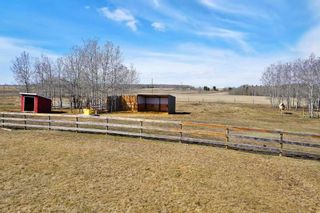 Photo 37: 4446 Highway 579: Rural Mountain View County Detached for sale : MLS®# A2123376