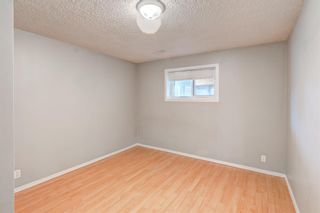 Photo 32: 207 Castlebrook Road NE in Calgary: Castleridge Detached for sale : MLS®# A1222970