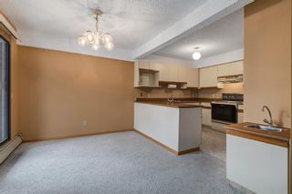 Photo 8: 204 333 2 Avenue NE in Calgary: Crescent Heights Apartment for sale : MLS®# A1039174