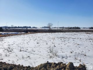 Photo 4: 10B 3402 10 Street: Rural Leduc County Industrial for sale : MLS®# E4332608
