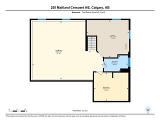 Photo 29: 255 Maitland Crescent NE in Calgary: Marlborough Park Detached for sale : MLS®# A1061446