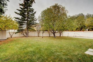 Photo 33: 31 Tucker Road: Airdrie Detached for sale : MLS®# A2006674