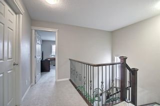 Photo 29: 336D Silvergrove Place NW in Calgary: Silver Springs Detached for sale : MLS®# A1199863
