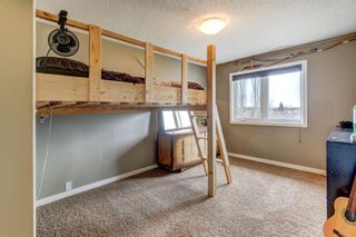 Photo 27: 43 Schubert Hill NW in Calgary: Scenic Acres Detached for sale : MLS®# A1214619