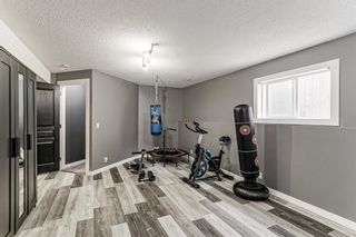 Photo 20: 328 Stonegate Way NW: Airdrie Detached for sale : MLS®# A1218480
