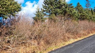 Photo 4: Lot Cape Split Road in Scots Bay: Kings County Vacant Land for sale (Annapolis Valley)  : MLS®# 202325495
