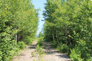 Photo 3: Lot 4 Morganville Road in Morganville: 401-Digby County Vacant Land for sale (Annapolis Valley)  : MLS®# 202012965