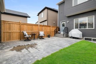 Photo 41: 50 Evanscrest Heights NW in Calgary: Evanston Detached for sale : MLS®# A1125631