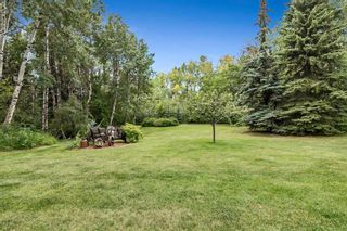 Photo 42: 48174 338 Avenue E: Rural Foothills County Detached for sale : MLS®# A2073081