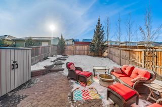 Photo 30: 119 Walden Drive SE in Calgary: Walden Semi Detached (Half Duplex) for sale : MLS®# A2020193