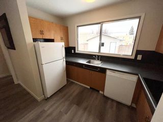 Photo 31: 494 Riverton Avenue in Winnipeg: Elmwood Residential for sale (3A)  : MLS®# 202305042