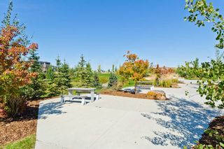 Photo 30: 266 Howse Drive NE in Calgary: Livingston Detached for sale : MLS®# A2080335