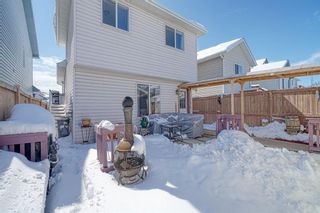 Photo 32: 83 Coventry View NE in Calgary: Coventry Hills Detached for sale : MLS®# A1208569