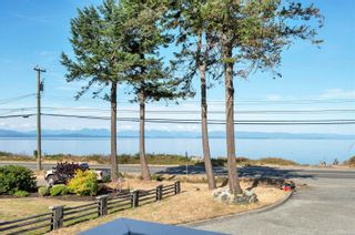 Photo 51: 3846 S Island Hwy in Campbell River: CR Campbell River South House for sale : MLS®# 937668