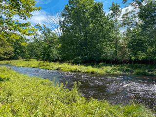 Photo 4: Lot E. Fraser Cross Road in Rocklin: 108-Rural Pictou County Vacant Land for sale (Northern Region)  : MLS®# 202315970