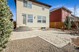 Photo 44: 49 Legacy Terrace SE in Calgary: Legacy Detached for sale : MLS®# A2123389