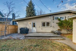 Photo 39: 10844 Mapleford Road SE in Calgary: Maple Ridge Detached for sale : MLS®# A2096930