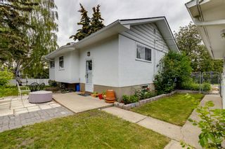 Photo 4: 4519 19 Avenue SW in Calgary: Glendale Detached for sale : MLS®# A1240850