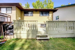 Photo 45: 19 Falchurch Road NE in Calgary: Falconridge Semi Detached (Half Duplex) for sale : MLS®# A2056585