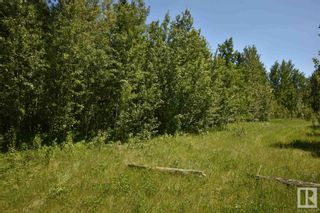 Photo 3: 18 Village West: Rural Wetaskiwin County Rural Land/Vacant Lot for sale : MLS®# E4284993