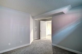 Photo 25: 254 hidden spring Mews NW in Calgary: Hidden Valley Detached for sale : MLS®# A2002101