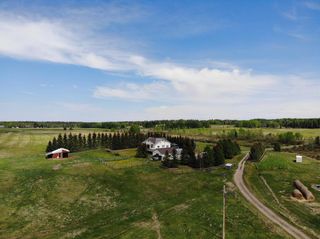Photo 9: 30362 Range Road 54: Rural Mountain View County Detached for sale : MLS®# A2015252