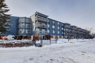 Photo 30: 117 816 89 Avenue SW in Calgary: Haysboro Apartment for sale : MLS®# A2022209