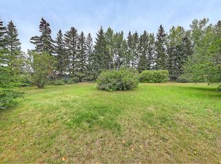 Photo 43: 6407 58 Street NW in Calgary: Dalhousie Detached for sale : MLS®# A2074904