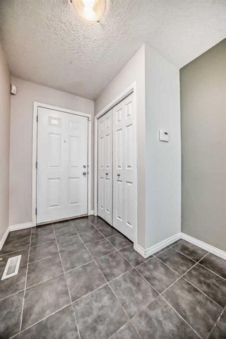 Photo 38: 335 Copperfield Boulevard SE in Calgary: Copperfield Row/Townhouse for sale : MLS®# A2138017