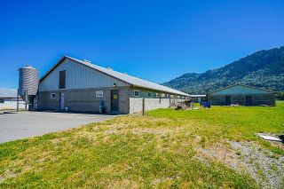Photo 24: 1160 MARION Road in Abbotsford: Sumas Prairie House for sale : MLS®# R2709247
