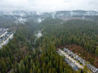 Photo 17: 13800 236 Street in Maple Ridge: Silver Valley Land for sale in "Forest Hamlet Eco Cluster Silver Valley" : MLS®# R2853658