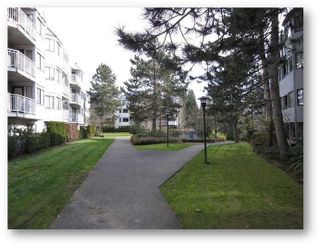 Photo 4: 5 9620 MANCHESTER Drive in Burnaby: Cariboo Condo for sale in "Brookside" (Burnaby North)  : MLS®# R2157846