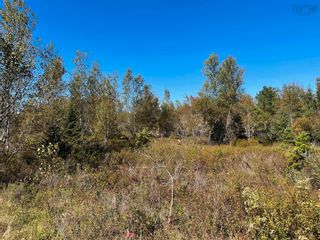 Photo 2: Lot Tompkin Road in Stanley Section: 405-Lunenburg County Vacant Land for sale (South Shore)  : MLS®# 202320096