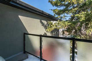 Photo 17: 311 1915 26 Street SW in Calgary: Killarney/Glengarry Apartment for sale : MLS®# A2106834
