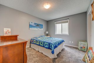 Photo 22: 167 Skyview Shores Crescent NE in Calgary: Skyview Ranch Detached for sale : MLS®# A2019286