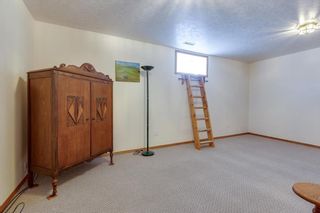 Photo 29: 27342 TWP RD 391: Red Deer Agriculture for sale : MLS®# A2039137