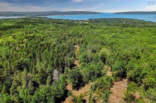 Photo 8: Lot Highway 101 in Smiths Cove: Digby County Vacant Land for sale (Annapolis Valley)  : MLS®# 202216443