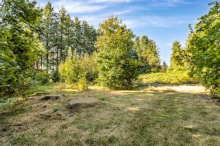 Photo 24: 18825 OLD DEWDNEY TRUNK Road in Pitt Meadows: North Meadows PI House for sale : MLS®# R2860616